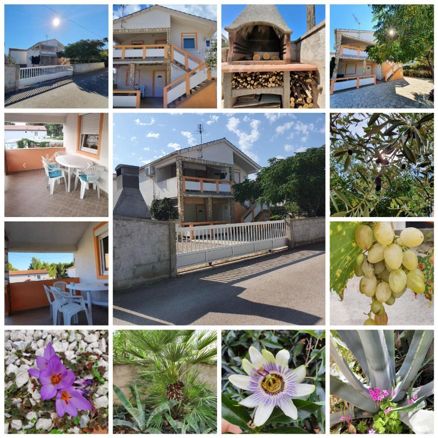 Lipa Mare Vir Exterior foto